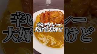 【CoCo壱】 これだから“おひとり様”はやめられない！ グルメ CoCo壱 カレー [upl. by Latihs]