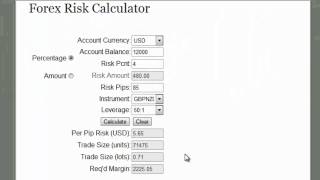 Forex Risk Calculator by Winners Edge Trading [upl. by Eatnoled]