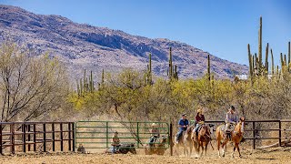 Vacationing at Arizonas Dude Ranches [upl. by Gipps]