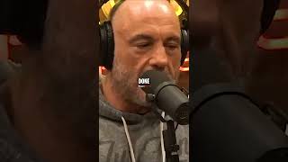 Joe Rogan Reacts to Donald Trump CNN Response [upl. by Elleirda632]