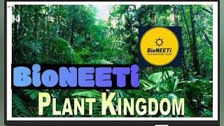 Kingdom Plantae  Classification Systems Chapter 3 Class 11 NCERT [upl. by Coumas]