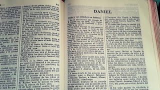 La Biblia  Daniel Libro completo  Reina Valera 1960 [upl. by Corbie283]