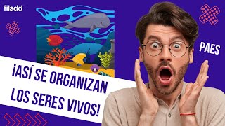 Niveles de organización  Biología PAES [upl. by Inahs612]