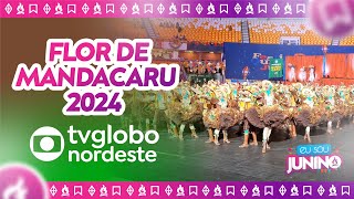 Flor de Mandacaru 2024  GLOBO NORDESTE [upl. by Trisha]