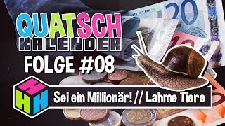 Wie werde ich Millionär » Alte Schildkröten » Europawahl » QUATSCHKALENDER 08 » Feiertag Fun Facts [upl. by Anesusa651]