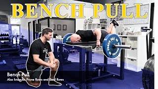 Bench Pull  Tutorial [upl. by Arral894]