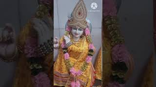 mohini ekadashi बैसाख radhe  महाशिव मंदिर दर्शन [upl. by Neilson]