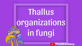 Thallus organization in fungi bsc botany unit 1 [upl. by Anirbas]