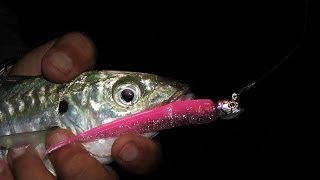 Spinning with varius lures from winter to summer 21 fish [upl. by Feledy]