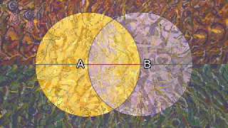 Sacred Geometry 101C The Sacred Languages [upl. by Darelle202]