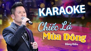 KARAOKE  CHIẾC LÁ MÙA ĐÔNG  BẰNG KIỀU  BẢN PHỐI HAY NHẤT [upl. by Adnawt479]