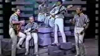 the beach boys barbara ann live [upl. by Cioffred756]