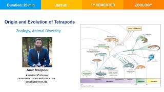 Origin and evolution of TetrapodsZoology 1st sem CUS Paper Animal Diversity [upl. by Chelsey]