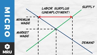 Price Floors The Minimum Wage [upl. by Seigler]