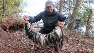 Gran Pesca Y Cocina De Mojarras Crappie [upl. by Schroer]