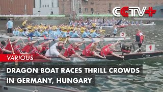 Dragon Boat Races Thrill Crowds in Germany Hungary [upl. by Owena]