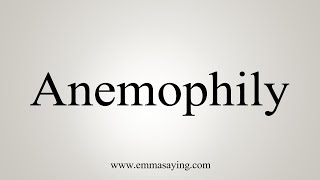 How To Say Anemophily [upl. by Dumah575]