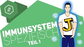 Spezifische Immunabwehr 1  Immunsystem [upl. by Arved]