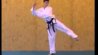 ITF Taekwon Do Patterns  Po Eun [upl. by Siroval]