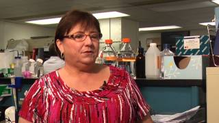 UT Veterinary Virologist Discusses Canine Distemper Virus [upl. by Demahom]