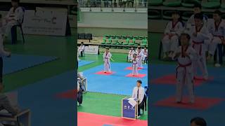 kukkiwon taekwondo 2024 incheon [upl. by Eiramlehcar16]