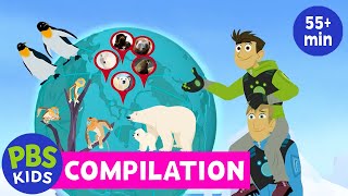 Wild Kratts  Arctic Creatures Compilation  PBS KIDS [upl. by Annol]