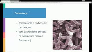 Darmowe Korepetycje z Biologii spotkanie 3 Metabolizm  kataboliczne przemiany cukrów [upl. by Nyret]