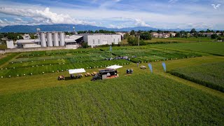 Field Day Foraggere cereali e cover crop 9 Maggio 2024  Padana Sementi [upl. by Oilasor]