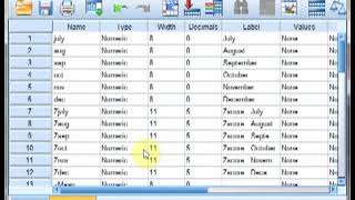 zscores standardised values in SPSS [upl. by Navonoj]