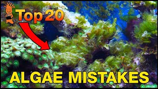 Cant beat algae in your tank This is probably why Top 20 Algae Fighting Mistakes [upl. by Asoral]