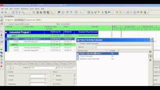 Primavera P6 changing calendars for all activities [upl. by Neyr735]
