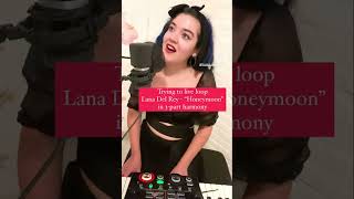 Lana Del Rey  quotHoneymoonquot Live Looping 3Part Harmony Shorts [upl. by Siraval]