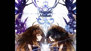 Magnolia x Myosotis [upl. by Haeluj]