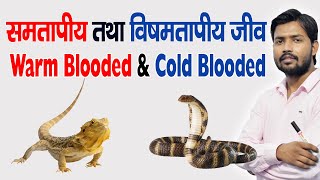 Warm amp Cold Blooded Animal  समतापी  विषमतापी  in Hindi [upl. by Bunce332]