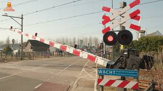 DUTCH RAILROAD CROSSING – Heeze – Leenderweg [upl. by Ama129]