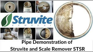 Struvite Remover Chemical and Scale Remover STSR use for Struvite Removal from Pipe Demo [upl. by Oicnecserc]