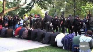 UC Davis Protestors Pepper Sprayed [upl. by Wilek]