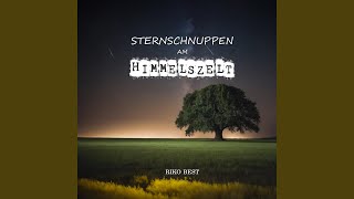 Sternschnuppen am Himmelszelt Radiomix [upl. by Ailem]