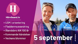 Härnösandtv  5 september 2024 [upl. by Ardnas]