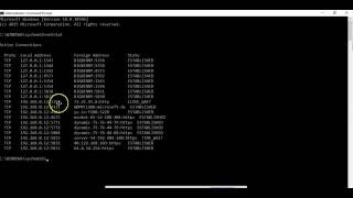 Viewing Active Ports with NETSTAT  COMPTIA Security sy0601 [upl. by Welbie]