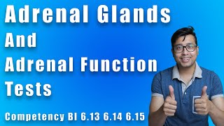 Adrenal Glands and Adrenal Function tests for medicos  Biochemistry competency 613 614 615 [upl. by Magdala497]