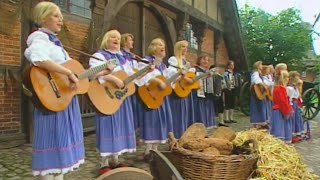 Mühlenhof Musikanten  Freesenhochtied 1998 [upl. by Acinomahs251]