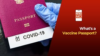 Travelling In Times Of COVID19 Whats a Vaccine Passport  NewsMo [upl. by Barnet]