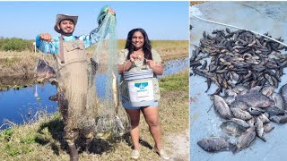 Cast Net Fishing For Hassa amp Tilapia [upl. by Zielsdorf]