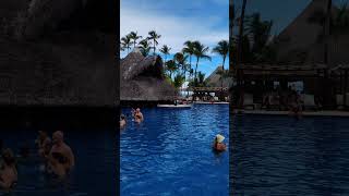 🇩🇴 Barcelo Bavaro Palace Punta Cana Dominican Rep 🌴shorts short shortvideo shortsvideo [upl. by Atis]