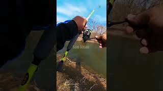 White Bass fishing fish fisherman whitebass [upl. by Ecreip]