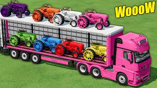 TRANSPORT with COLORS  Mini Tractors Auto Washing With Sweet Cloud  Farming Simulator 22 [upl. by Pallaton]