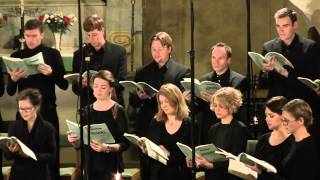 Brahms Requiem II Denn alles Fleisch es ist wie Gras ·Danderyds Vokalensemble [upl. by Lin255]