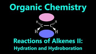 Organic Chemistry  Reactions of Alkenes II Hydration and Hydroboration [upl. by Feldstein796]