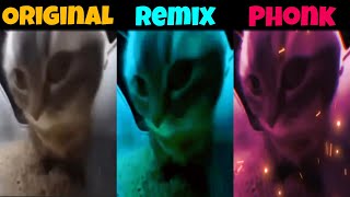 Chipi Chipi Chapa Chapa Original vs Phonk vs Remix [upl. by Thebault]